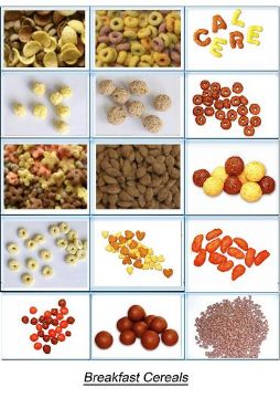 Food Machinery---Breakfast Cereals Flakes